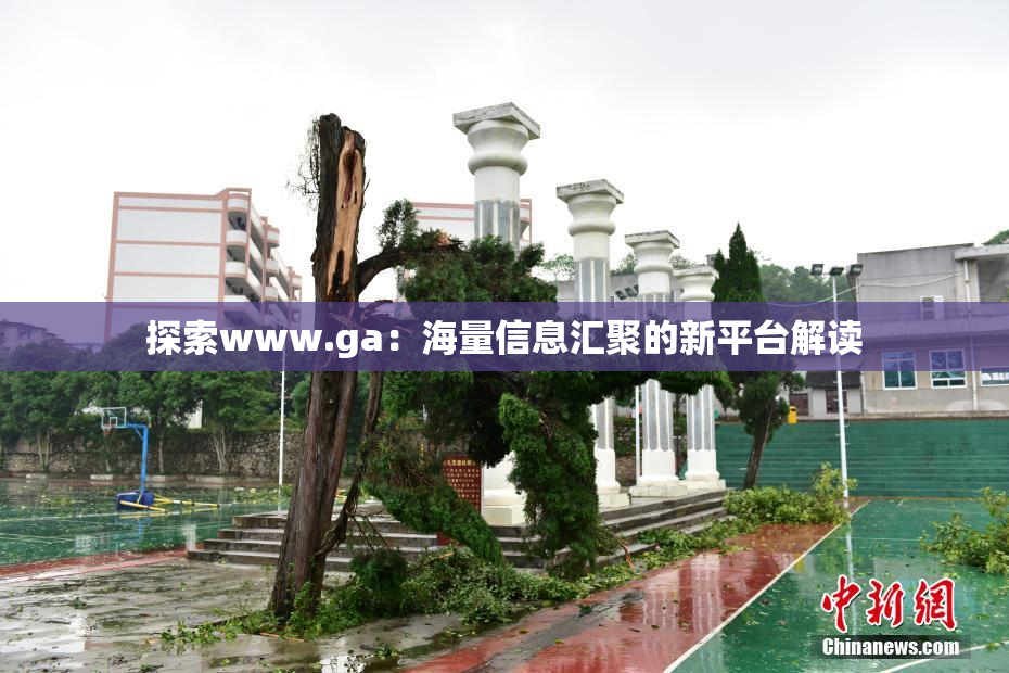 探索www.ga：海量信息汇聚的新平台解读
