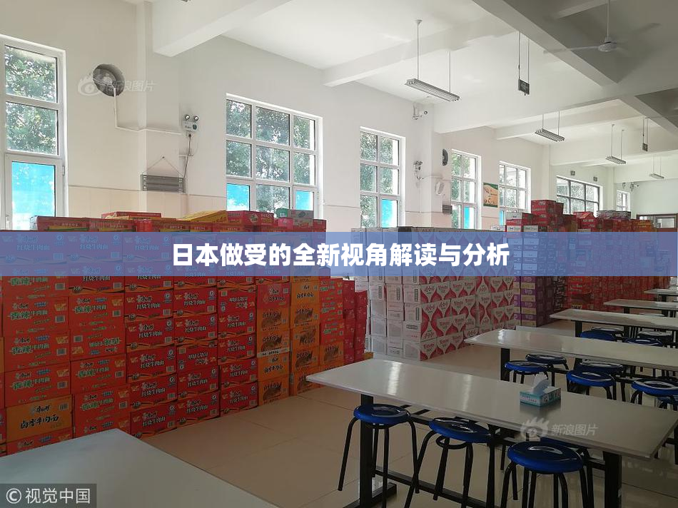 日本做受的全新视角解读与分析