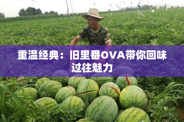 重温经典：旧里番OVA带你回味过往魅力