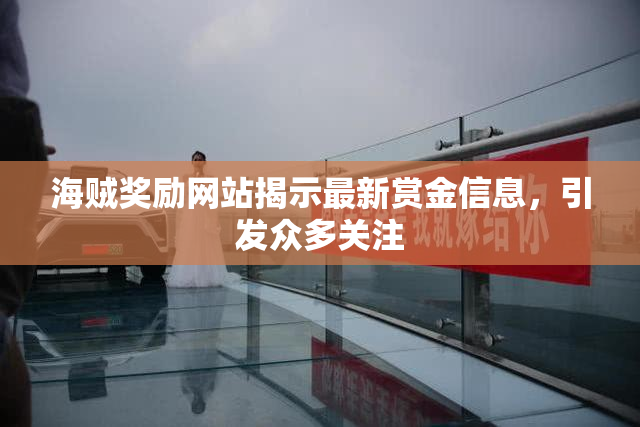海贼奖励网站揭示最新赏金信息，引发众多关注