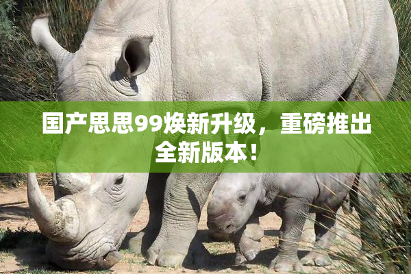 国产思思99焕新升级，重磅推出全新版本！