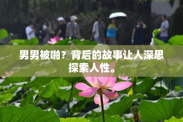 男男被啪？背后的故事让人深思探索人性。