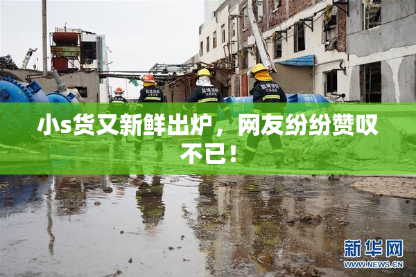 小s货又新鲜出炉，网友纷纷赞叹不已！