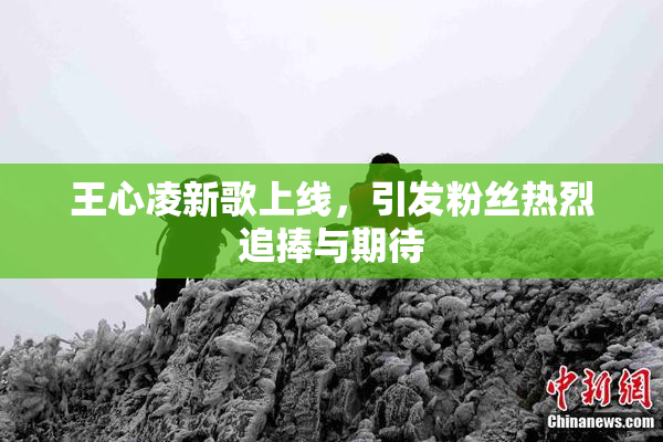 王心凌新歌上线，引发粉丝热烈追捧与期待
