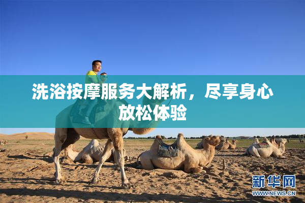 洗浴按摩服务大解析，尽享身心放松体验