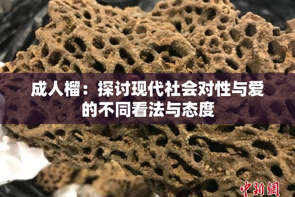 成人榴：探讨现代社会对性与爱的不同看法与态度