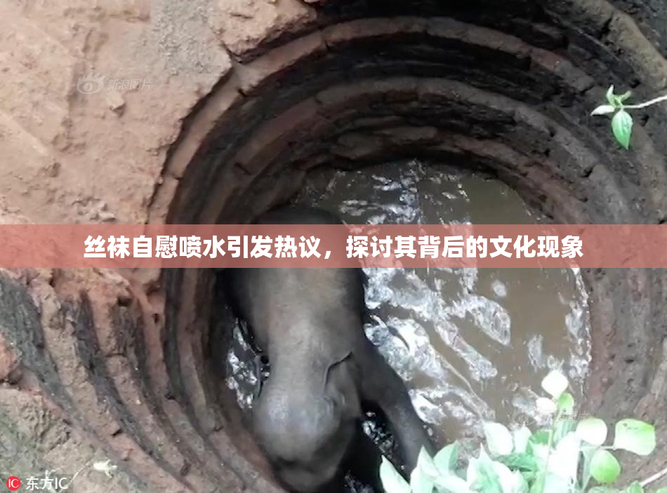 丝袜自慰喷水引发热议，探讨其背后的文化现象