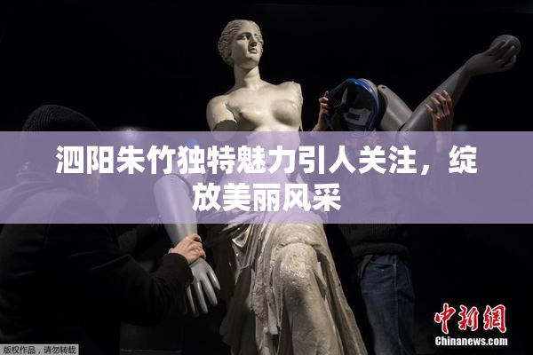 泗阳朱竹独特魅力引人关注，绽放美丽风采