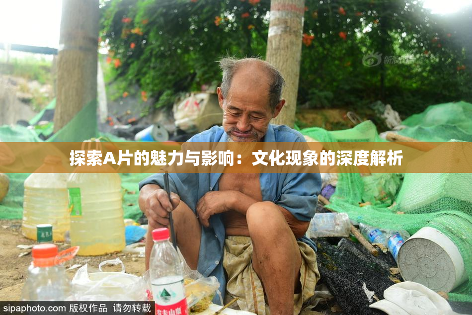 探索A片的魅力与影响：文化现象的深度解析