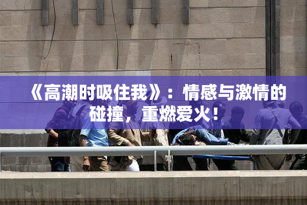 《高潮时吸住我》：情感与激情的碰撞，重燃爱火！