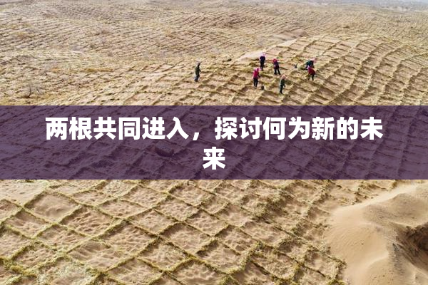 两根共同进入，探讨何为新的未来