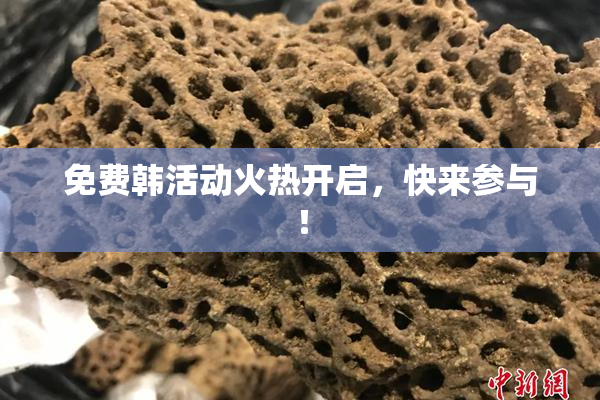 免费韩活动火热开启，快来参与！