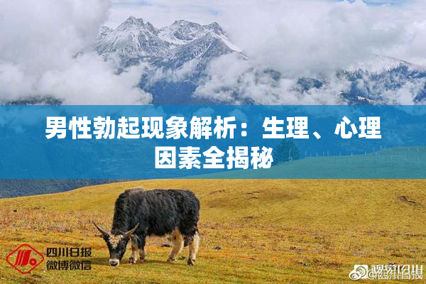 男性勃起现象解析：生理、心理因素全揭秘