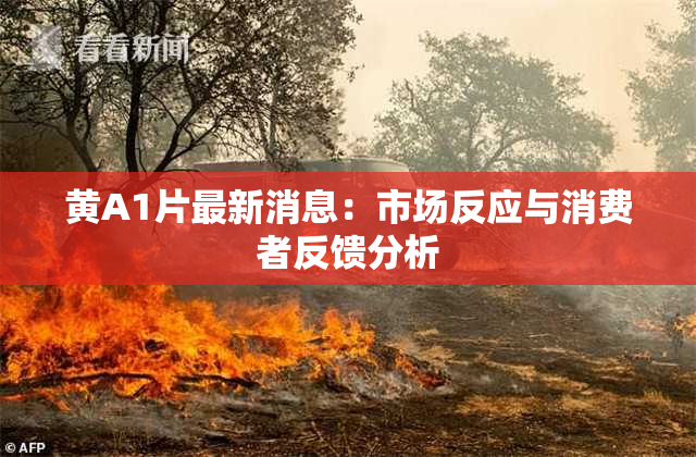 黄A1片最新消息：市场反应与消费者反馈分析
