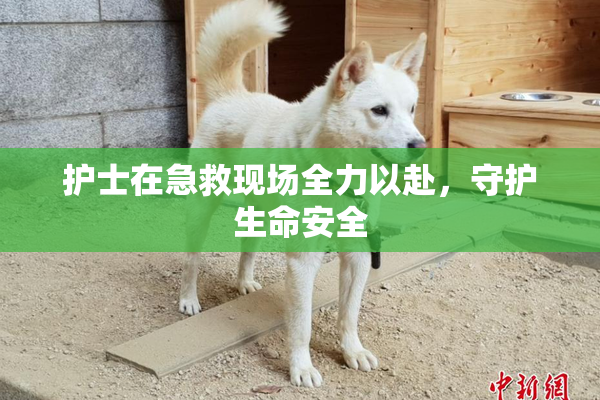 护士在急救现场全力以赴，守护生命安全