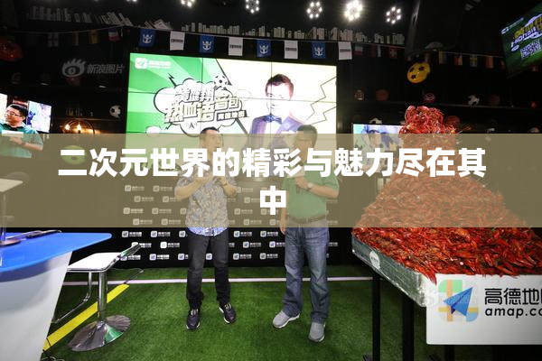 二次元世界的精彩与魅力尽在其中