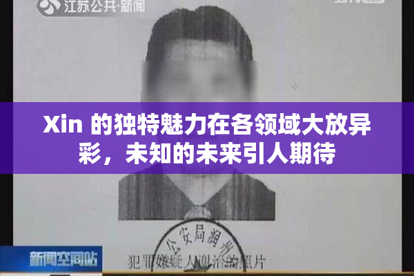 Xin 的独特魅力在各领域大放异彩，未知的未来引人期待