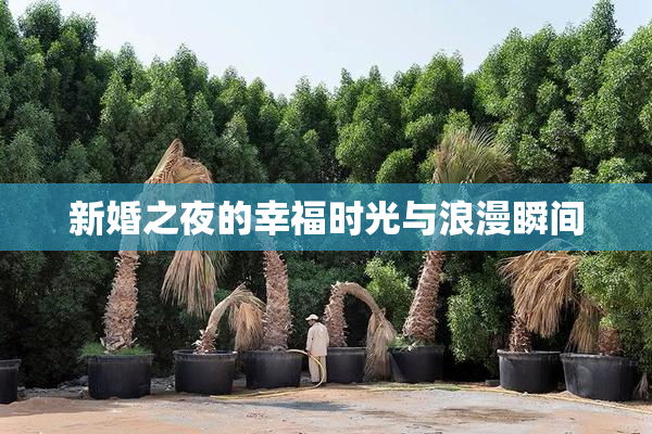 新婚之夜的幸福时光与浪漫瞬间