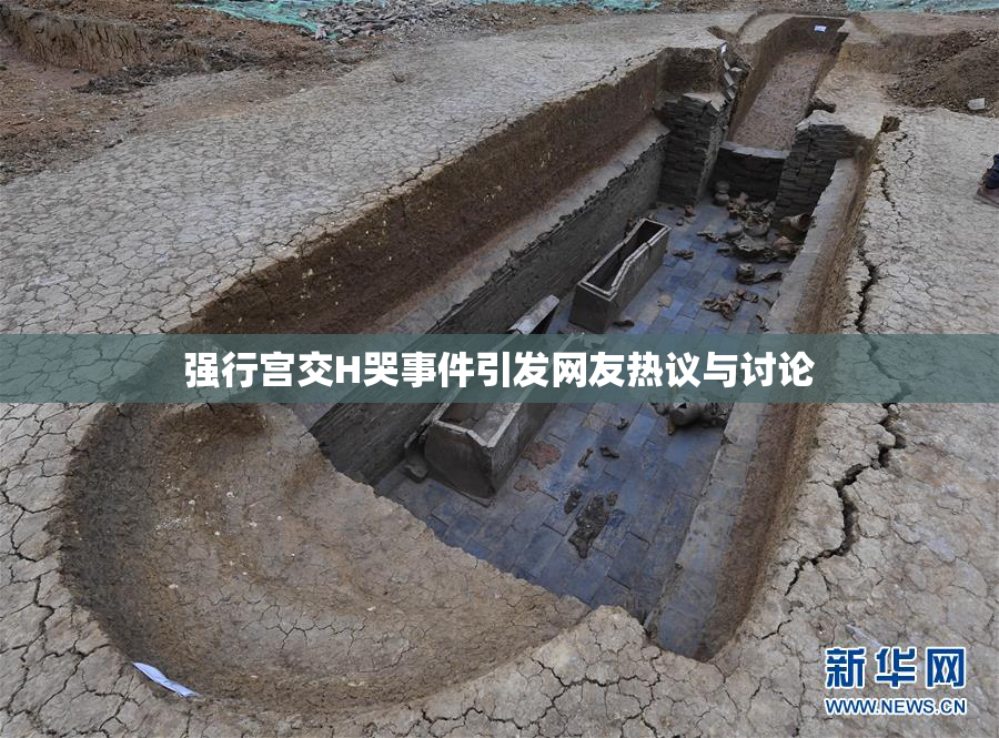 强行宫交H哭事件引发网友热议与讨论