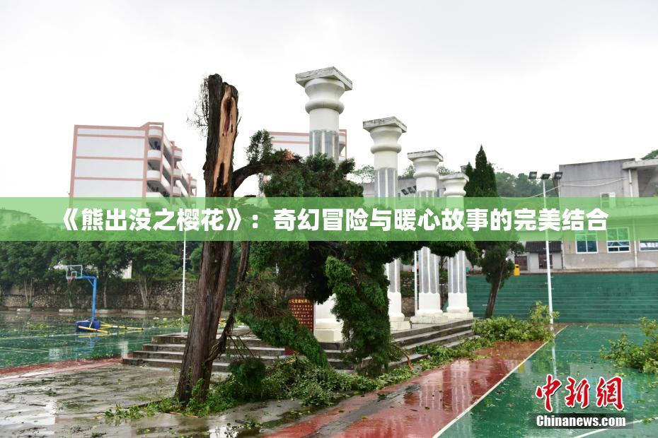 《熊出没之樱花》：奇幻冒险与暖心故事的完美结合