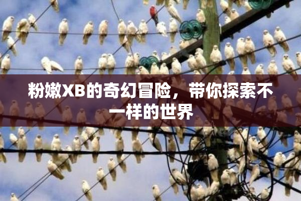 粉嫩XB的奇幻冒险，带你探索不一样的世界