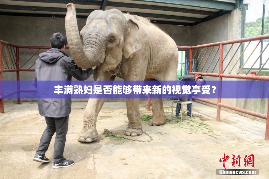 丰满熟妇是否能够带来新的视觉享受？