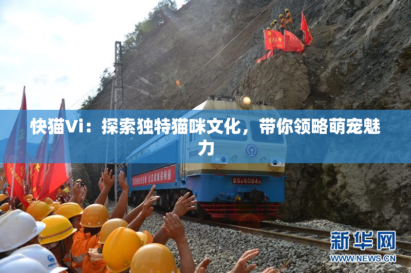 快猫Vi：探索独特猫咪文化，带你领略萌宠魅力
