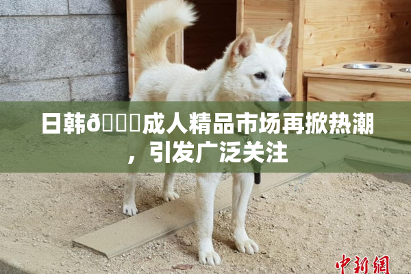 日韩🔞成人精品市场再掀热潮，引发广泛关注