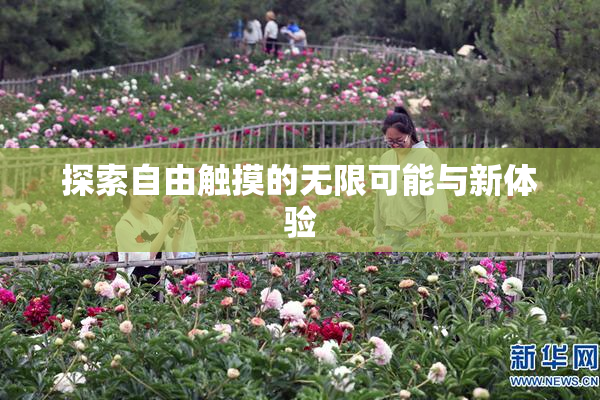 探索自由触摸的无限可能与新体验