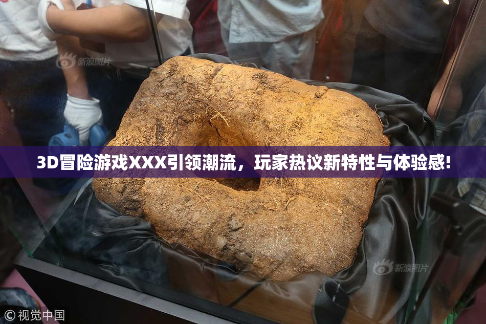 3D冒险游戏XXX引领潮流，玩家热议新特性与体验感!