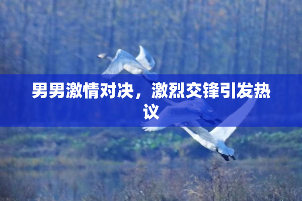 男男激情对决，激烈交锋引发热议