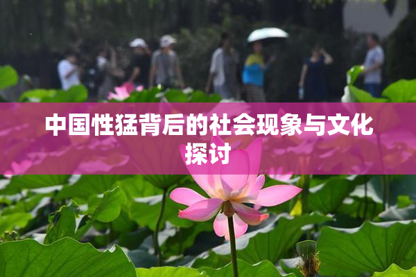 中国性猛背后的社会现象与文化探讨
