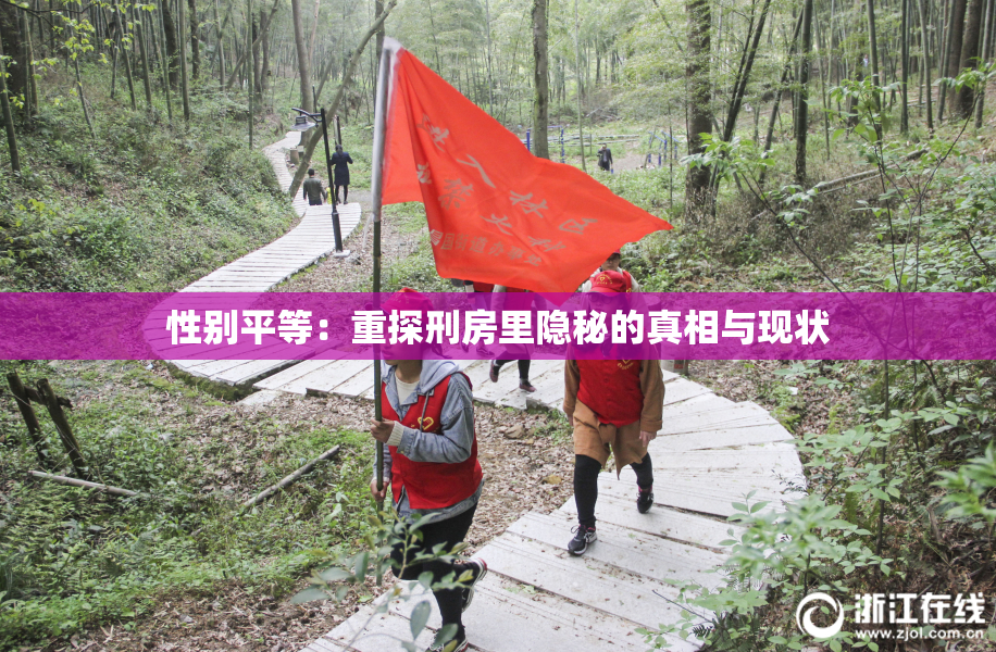 性别平等：重探刑房里隐秘的真相与现状