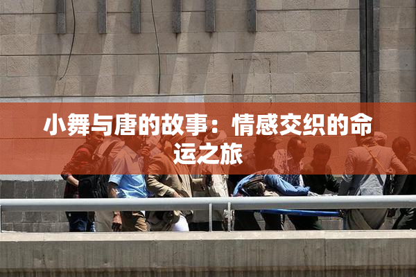 小舞与唐的故事：情感交织的命运之旅