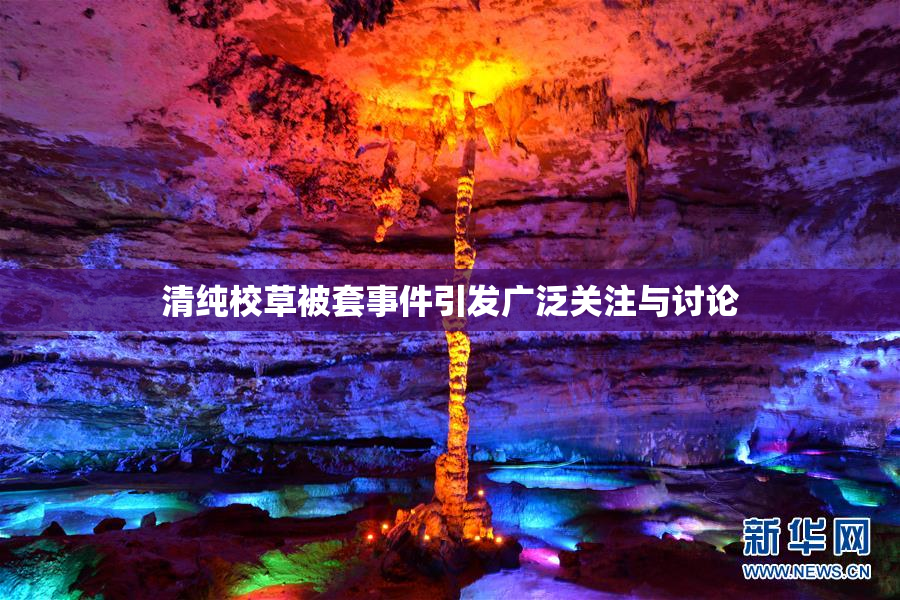 清纯校草被套事件引发广泛关注与讨论