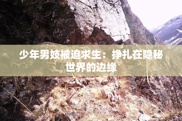 少年男妓被迫求生：挣扎在隐秘世界的边缘