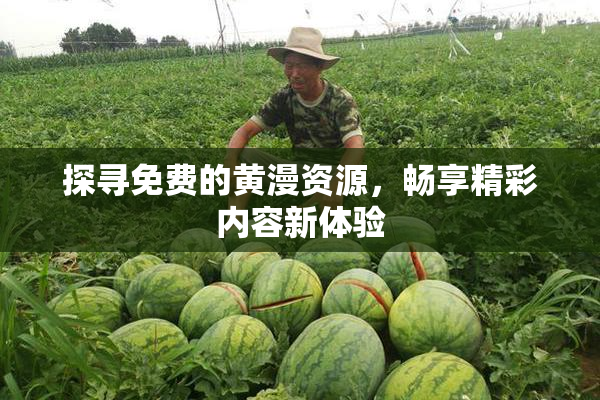 探寻免费的黄漫资源，畅享精彩内容新体验