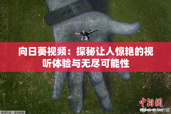 向日葵视频：探秘让人惊艳的视听体验与无尽可能性