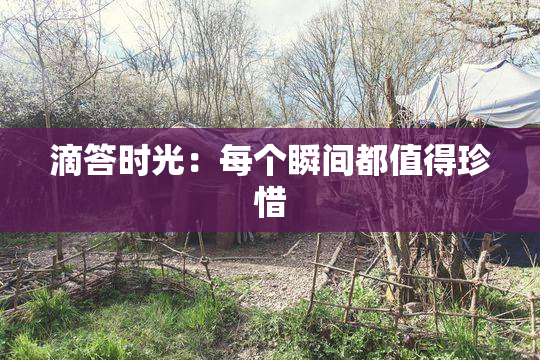 滴答时光：每个瞬间都值得珍惜
