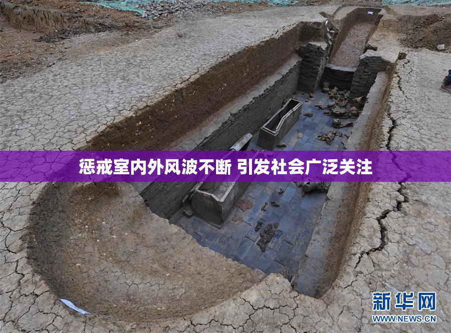 惩戒室内外风波不断 引发社会广泛关注