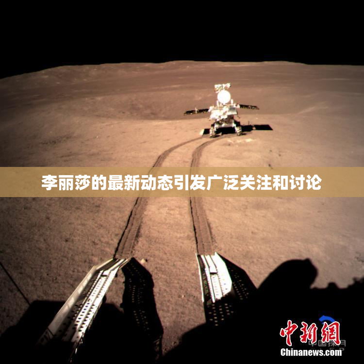 李丽莎的最新动态引发广泛关注和讨论