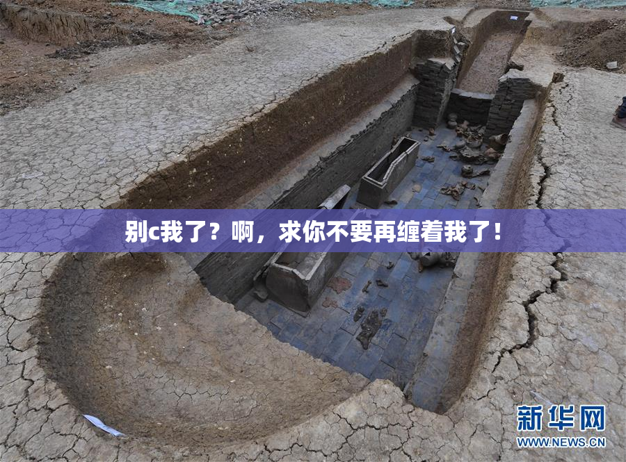 别c我了？啊，求你不要再缠着我了！