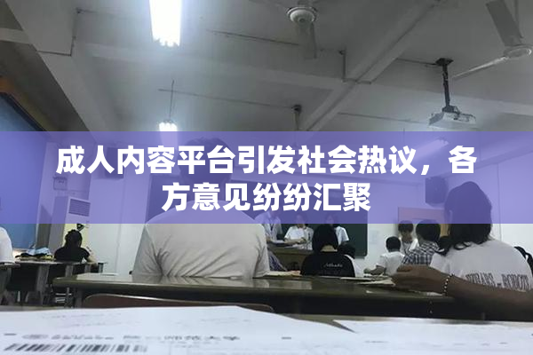 成人内容平台引发社会热议，各方意见纷纷汇聚