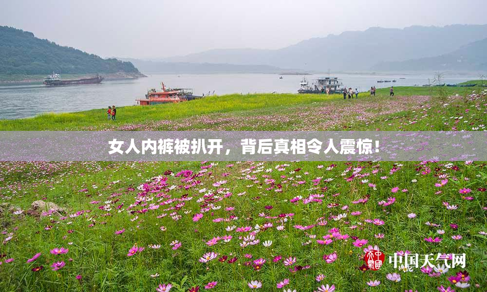 女人内裤被扒开，背后真相令人震惊！