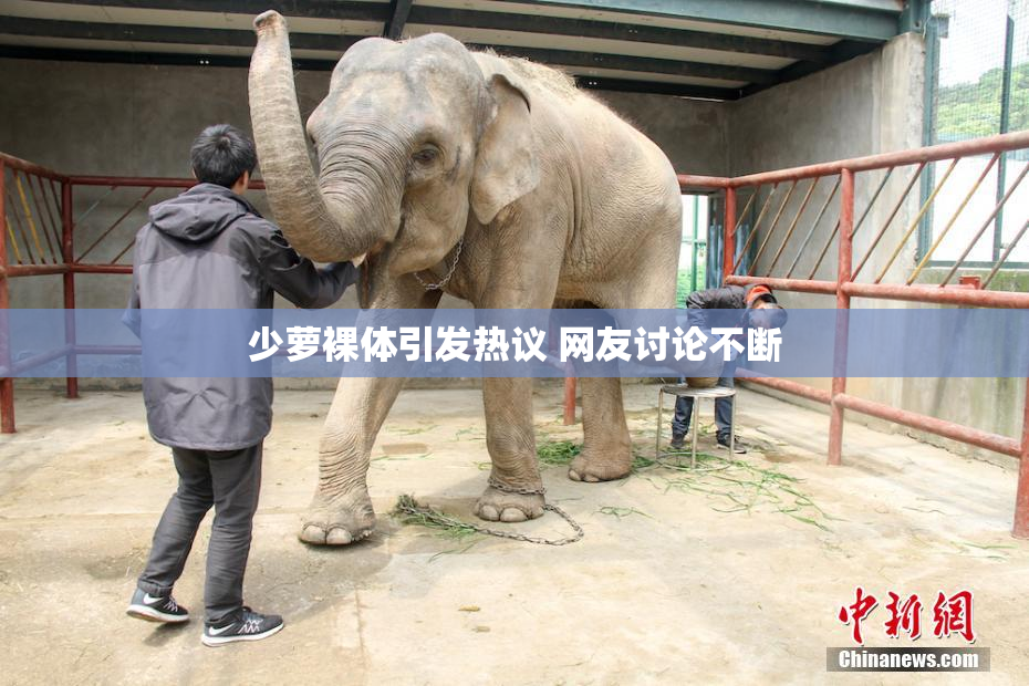 少萝裸体引发热议 网友讨论不断