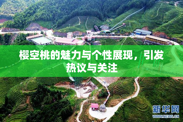 樱空桃的魅力与个性展现，引发热议与关注
