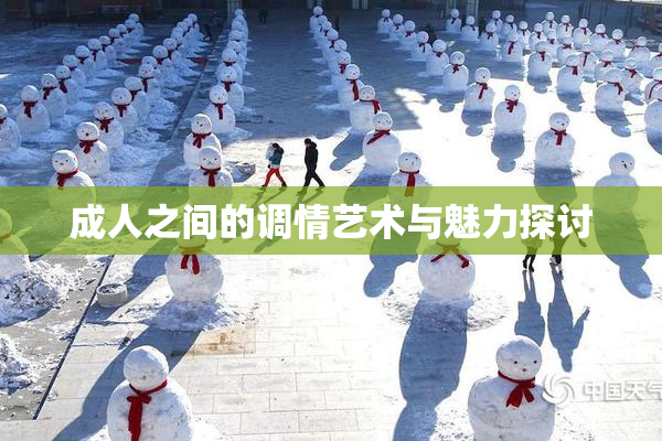 成人之间的调情艺术与魅力探讨