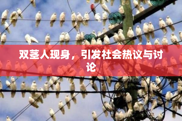 双茎人现身，引发社会热议与讨论