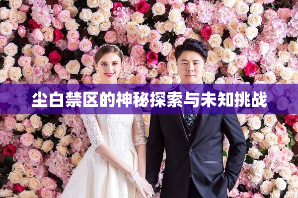 尘白禁区的神秘探索与未知挑战
