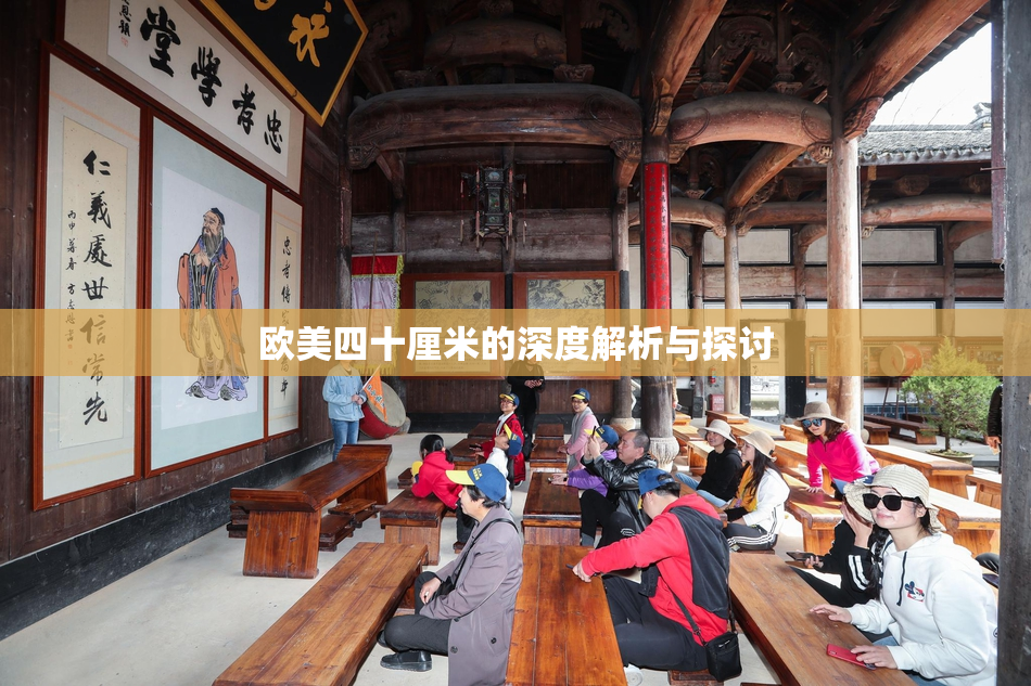 欧美四十厘米的深度解析与探讨